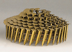 Coil Nail