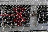 Gabion mesh machine